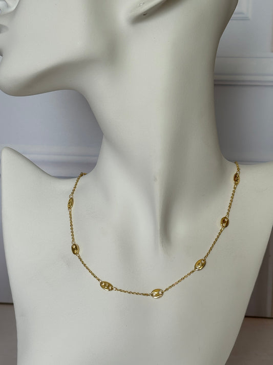 Collar Evoa